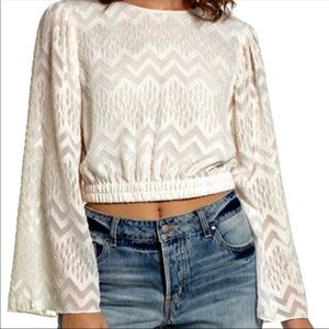 Gorgeous NWOT WAYF shimmer blouse with bell sleeve